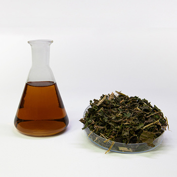 Nettle extract